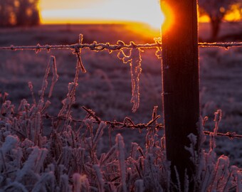 Morning Sunrise