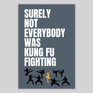 Zeker niet iedereen was aan het vechten tegen Kung Fu - digitale download