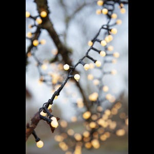 Könnte beinhalten: Eine Lichterkette mit weißen Lichterketten, die an einem Baumzweig befestigt ist. Die Lichter sind eingeschaltet und leuchten, wodurch eine warme und festliche Atmosphäre entsteht.