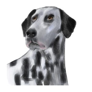 Custom Pet Portrait • Digital Dog Drawing • Hand-Drawn Animal Art from Photo