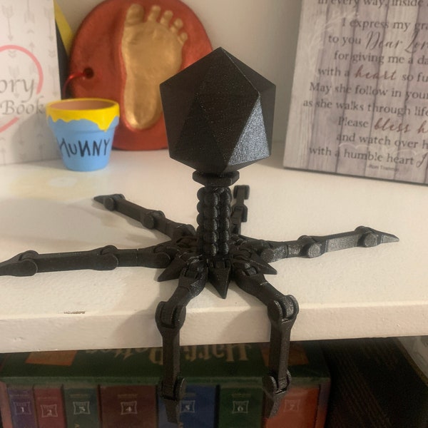 Articulated Bacteriophage Model Closed Genome 3D Printed