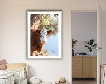 Cow Domestic Animal Wall Art Photography, Nursery Print, Nursery Animal Wall Decor, Kids Room, Home and Office Physical Print