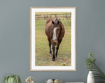 Horse Domestic Animal Canvas Wall Art Photography Nursery Print Nursery Animal Wall Decor Kids Room Physical Portrait Print Canvas