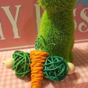 Yummy Carrot Bunny Rabbit Chew Toy