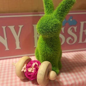 Confetti Rolly Ball Bunny Rabbit Chew Toy