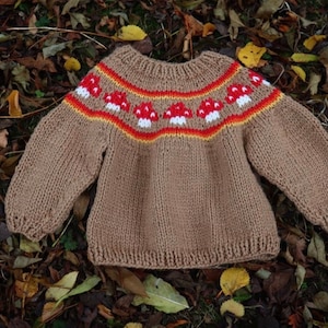 May include: A brown knitted sweater with a red, white, and yellow mushroom pattern on the neckline.