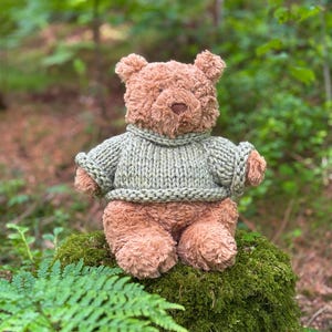 Puede incluir: Un oso de peluche con pelaje marrón claro que lleva un suéter de punto grueso en un color verde salvia apagado. El oso tiene una apariencia suave y texturizada, orejas redondeadas y una nariz marrón oscuro, sentado con los brazos extendidos.