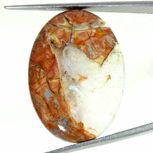 Könnte beinhalten: Ein ovaler Edelstein mit einer Mischung aus Farben. Der Stein weist eine Mischung aus Braun, Weiß und Hauch von Gelb und Blau auf. Die Oberfläche hat ein Rissmuster, das zu seinem einzigartigen Aussehen beiträgt. Gehalten von einem Metallwerkzeug.