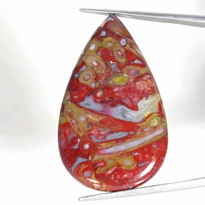May include: A teardrop-shaped polished gemstone featuring a vibrant mix of red, yellow, and translucent white patterns. The stone displays intricate orbicular inclusions and swirling bands of colour throughout its smooth, glossy surface.