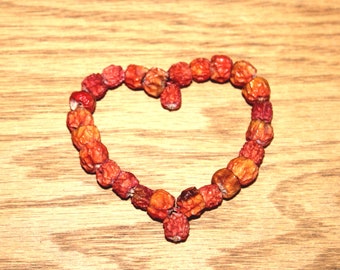 Rowan Berry Hearts-Mountain Ash-Talisman-Metaphysical Ornament-Protection Charm-Mystical-ancient Celtic charm-Sorbus hybrida-Amulet