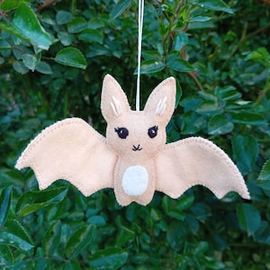 May include: A beige felt bat ornament with black eyes and a white felt belly. The bat is hanging from a white string.