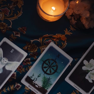Lectura diaria de tarot a ciegas con una carta