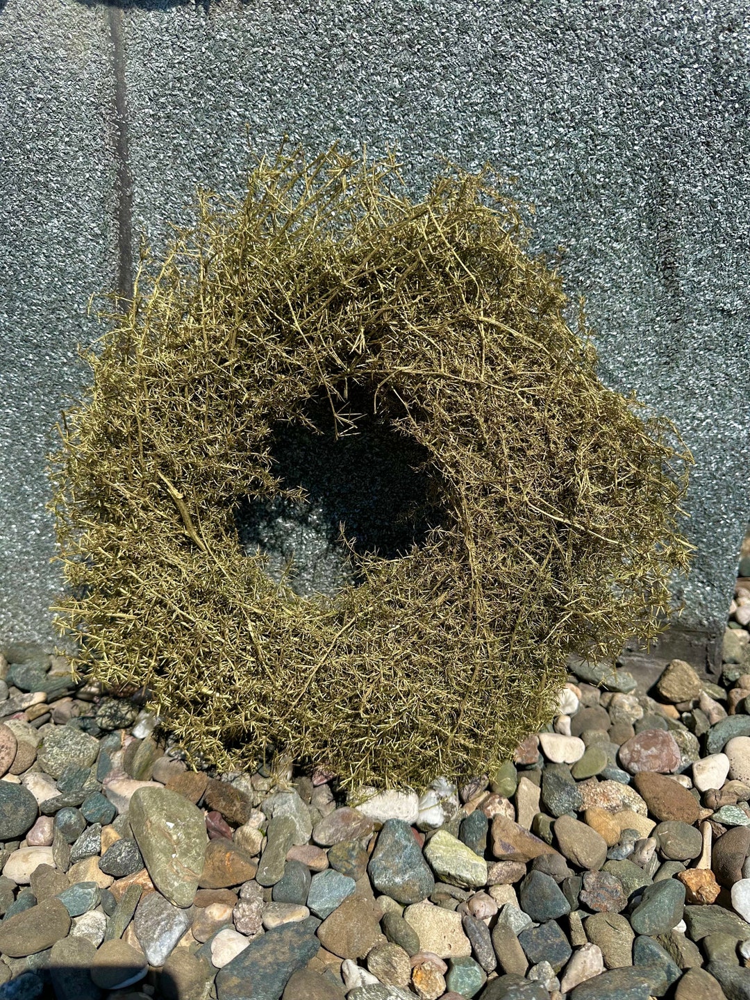 26” Asparagus Fern Wreath