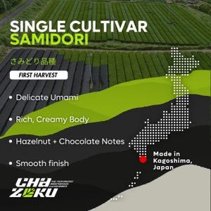 Puede incluir: Un gr&aacute;fico informativo con un fondo de plantaci&oacute;n de t&eacute; y el texto: SINGLE CULTIVAR SAMIDORI, さみどり品種, FIRST HARVEST, Delicate Umami, Rich, Creamy Body, Hazelnut + Chocolate Notes, Smooth finish, Made in Kagoshima, Japan, y CHA ZEKU.