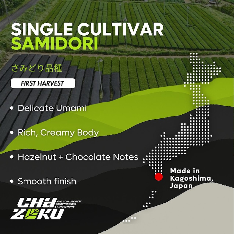 Puede incluir: Un gr&aacute;fico informativo con un fondo de plantaci&oacute;n de t&eacute; y el texto: SINGLE CULTIVAR SAMIDORI, さみどり品種, FIRST HARVEST, Delicate Umami, Rich, Creamy Body, Hazelnut + Chocolate Notes, Smooth finish, Made in Kagoshima, Japan, y CHA ZEKU.