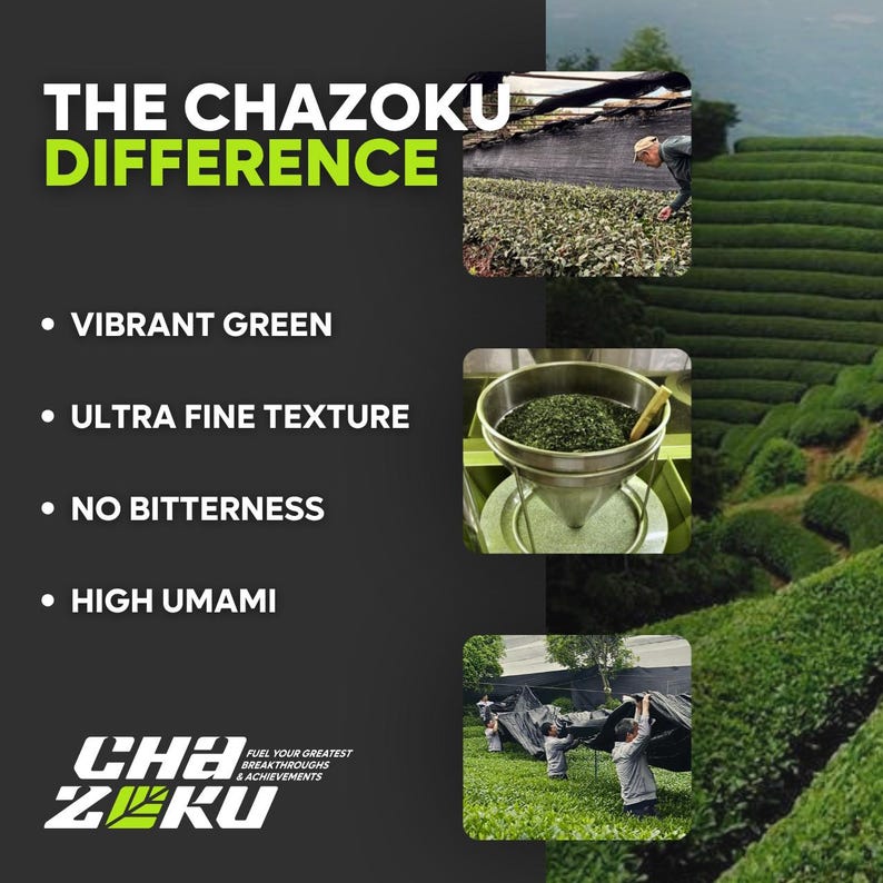 Puede incluir: Un gr&aacute;fico informativo titulado THE CHAZOKU DIFFERENCE con los puntos: VIBRANT GREEN, ULTRA FINE TEXTURE, NO BITTERNESS, HIGH UMAMI. Incluye tres fotos de cultivo y procesamiento de t&eacute;, adem&aacute;s del logotipo de CHAZOKU.