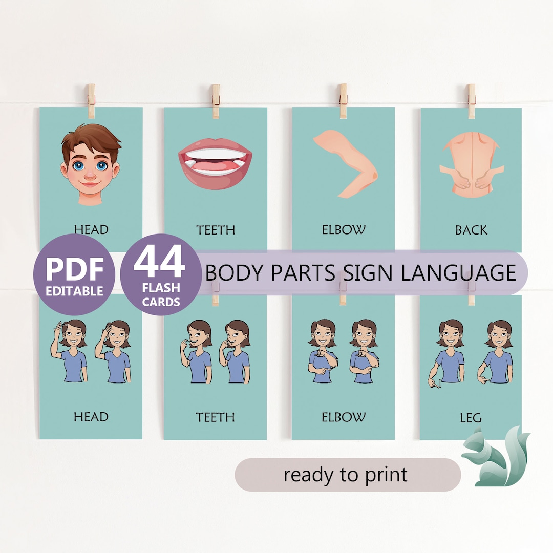 Body Parts Charts in Sign Language, American Sign Language Body Parts