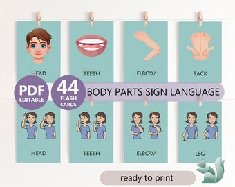 ASL Body Parts Flashcards, Sign Language Learning (digital