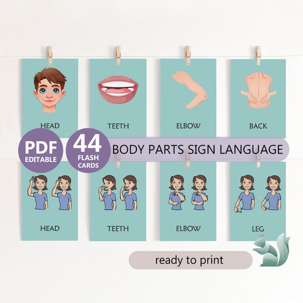 Body Parts Charts in Sign Language, American Sign Language Body Parts Flashcards, ASL Learning Materials, Editable 3 Part Cards