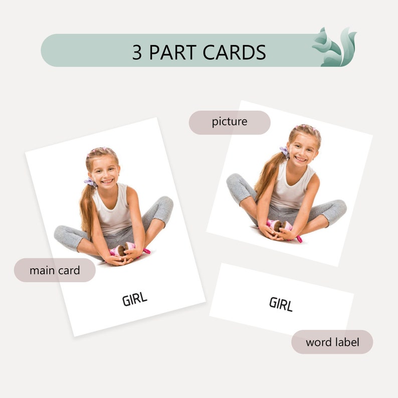 Sitting Flash Card Family Members & Stages Flash Cards – Montessori Printable (editable ...