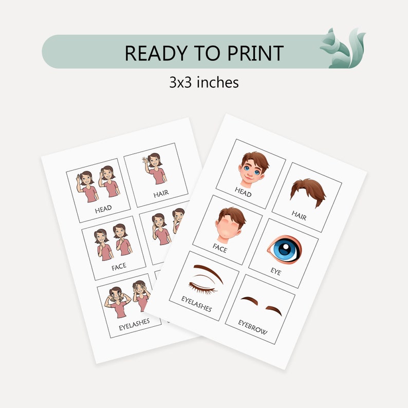 Body Parts Flashcards in American Sign Language, Educational ASL Body