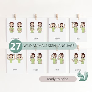 Tarjetas flash de lenguaje de señas de animales salvajes, gráficos de animales de lenguaje de señas americano, oficina de terapia, educación especial, tarjetas Montessori de 3 partes
