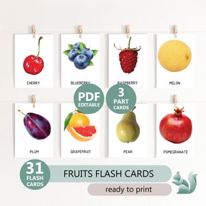 Images réelles de FRUITS et BAIES - 31 cartes-éclair imprimables, graphiques Montessori et pour tout-petits, cartes-éclair éducatives en 3 parties, téléchargement PDF