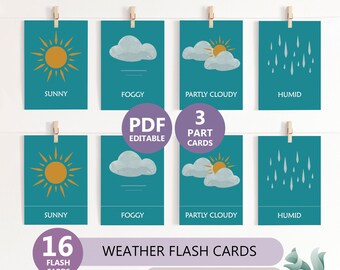 WEATHER Flashcards, Recognition Cards, Pre-school Learning Resources, Homeschool Education, Montessori 3 Part Card, Monterssori and Toddler