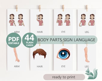 May include: A collection of flash cards for learning body parts in sign language. Each card displays an illustration and the name of a body part, including "arm," "hair," "eye," and "leg." The cards are labeled "PDF Editable" and "44 Flash Cards."