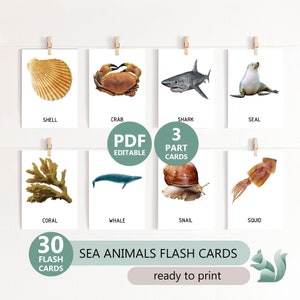 Imagens reais de ANIMAIS OCEÂNICOS - 30 cartões flash imprimíveis, cartões flash de nomenclatura, ensino doméstico pré-escolar, gráficos de 3 partes, download editável em PDF