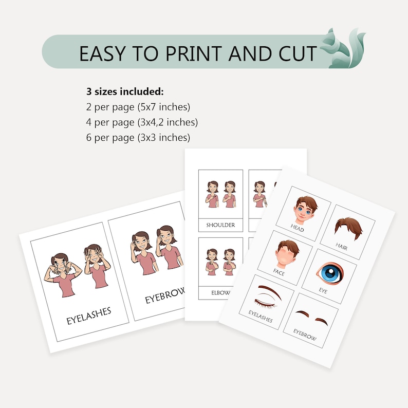 Body Parts Flashcards in American Sign Language, Educational ASL Body ...