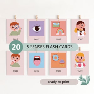 Tableau des 5 sens du corps humain, cartes de reconnaissance modifiables des cinq sens, éducation à la maison, apprentissage précoce, cartes Montessori en 3 parties