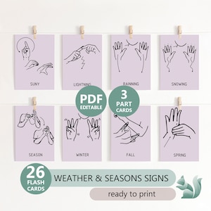 Cartes flash de la météo et des saisons en ASL, 26 signes météo et des saisons en langue des signes américaine, bureau de thérapie, éducation spécialisée en ASL