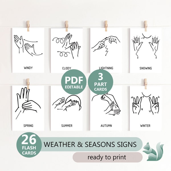 WEATHER & SEASONS Sign Language Flash Cards, American Sign Language 26 Weather and Seasons Charts, Therapy Office, Special Education