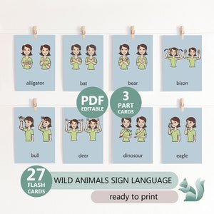 Gráfico de animales del bosque ASL, Tarjetas didácticas de animales salvajes en lenguaje de señas americano, Recursos para maestros, Educación especial, Tarjetas Montessori de 3 partes