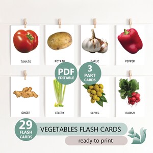 VEGETALES Imágenes reales -29 Tarjetas flash editables, Tarjetas Montessori, Tarjetas flash de nomenclatura preescolar, Tarjetas educativas de 3 partes, Descarga PDF