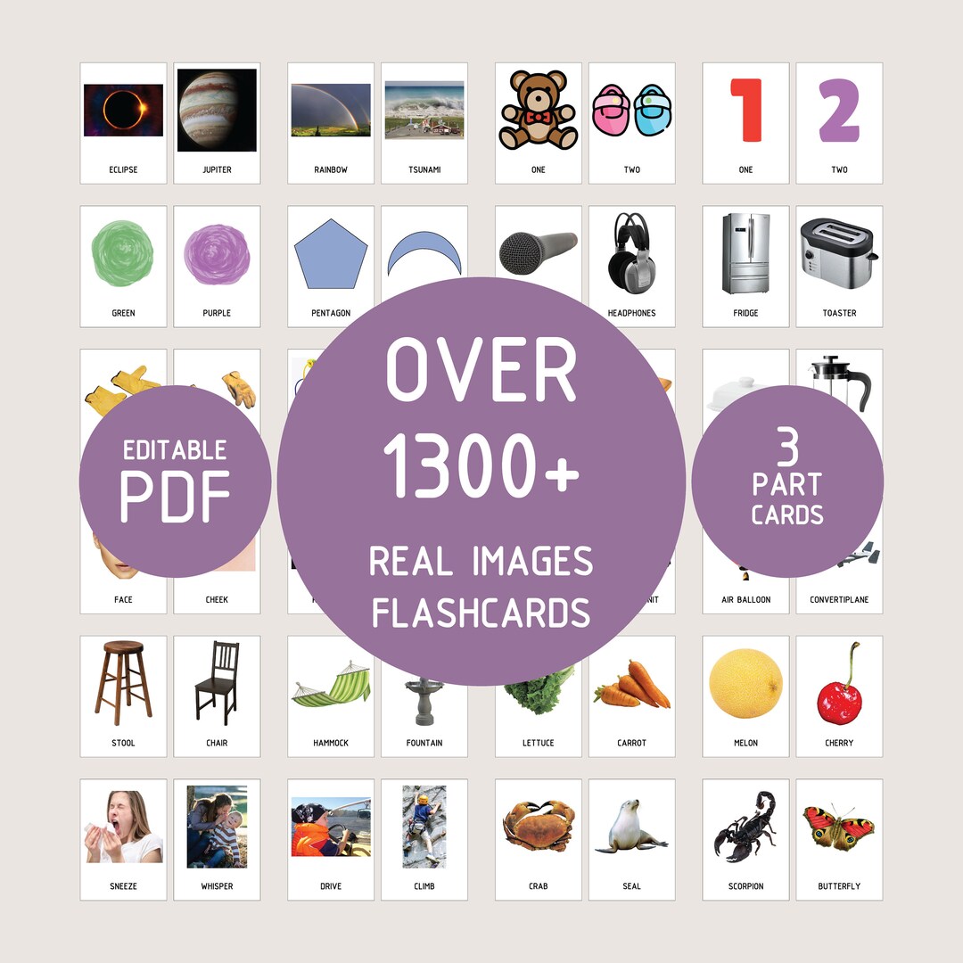 1300+ Educational Flashcards – Preschool & Homeschool Learning (digital ...