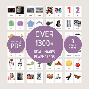 1300+ EDUKACYJNYCH KART Z RZECZYWISTYMI OBRAZAMI - Przedszkolna edukacja domowa, pomoc wizualna, karty Montessori, zachowanie malucha, zasoby dla nauczycieli