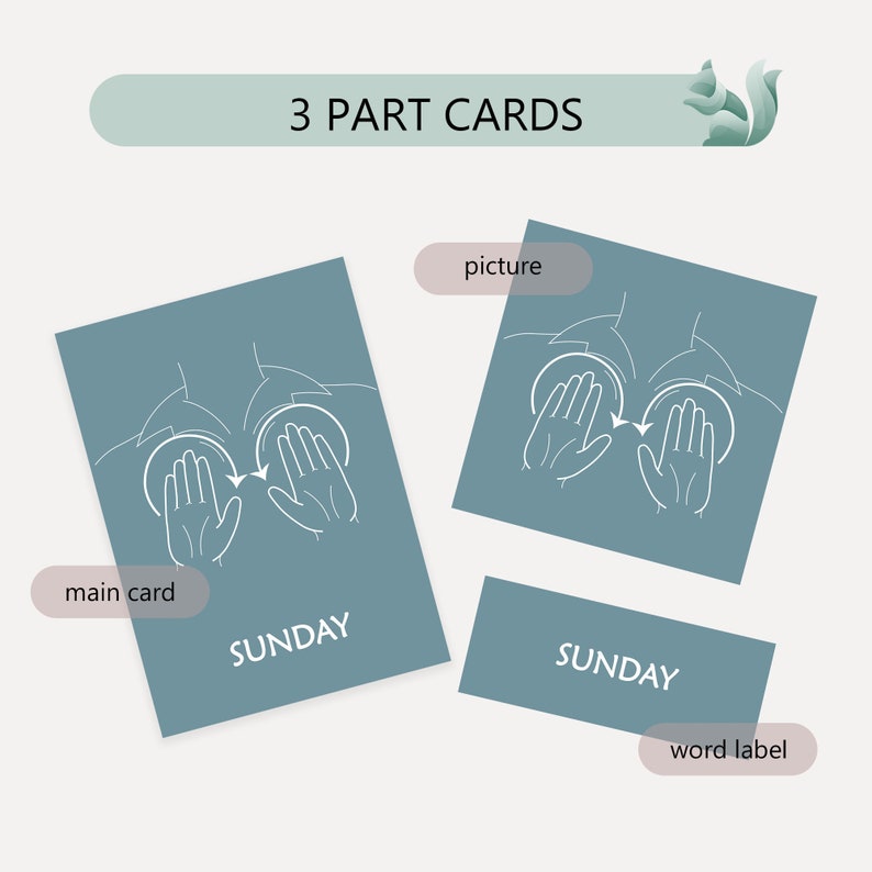 Sign Language Days of the Week, American Sign Language Days Flashcards ...