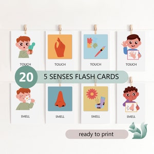5 Senses Editable Flashcards, Printable Five Senses of Human Body Recognition Cards, Homeschool Education, Montessori 3 Part Cards