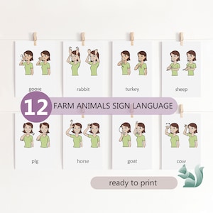 Farmtiere Zeichensprache, Amerikanische Zeichensprache Tiere Charts, Therapie Büro Dekor, Sonderpädagogik, Montessori 3 Teilige Karten