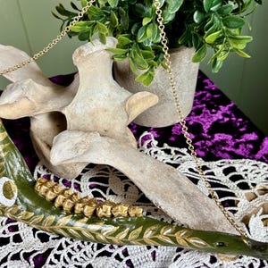 Deer Jaw Bone Wall Hanger - Botanical Design
