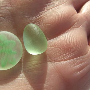 Può includere: Due pezzi di vetro marino smerigliato. Un pezzo è circolare e presenta un disegno dipinto in verde che ricorda una foglia o un fiore stilizzato. Il secondo pezzo è una forma ovale di colore verde pallido, liscia e traslucida, con texture opaca.