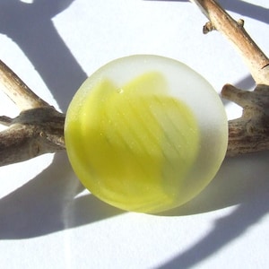 Pode incluir: Uma bola de gude de vidro transparente com um design interior amarelo, repousando em um galho marrom contra um fundo branco. O design amarelo da bola de gude tem aparência de pincelada. A imagem é bem iluminada, destacando os detalhes da bola de gude e a textura do galho.