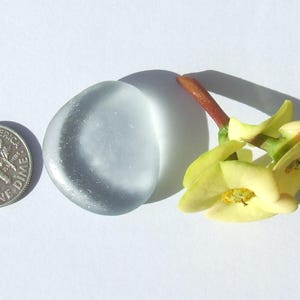 以下が含まれることがあります： 薄い青色のガラスの石、10セント硬貨、赤い茎の黄色い花
