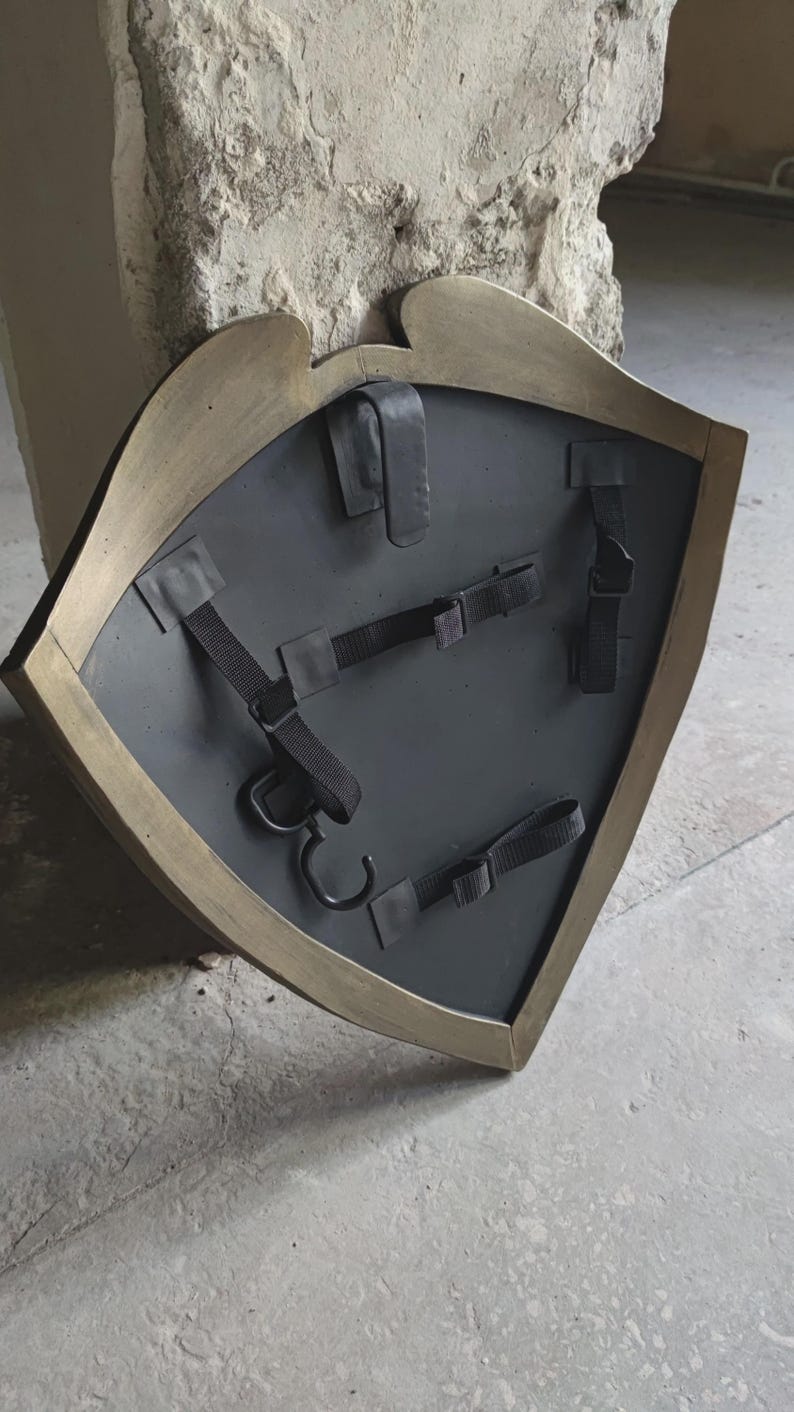 May include: A medieval-style shield with a dark gray surface and a gold-colored trim. The back of the shield features black straps and a hook for carrying. The shield is designed with a unique shape, suggesting a historical or fantasy theme.