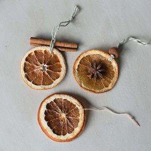 Dried Orange Slice Ornaments (set of 10)