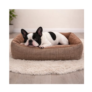 Puede incluir: Un bulldog francés blanco y negro descansa en una cama rectangular marrón para perros. La cama está sobre una alfombra suave y blanquecina. El perro está acostado, con la cabeza apoyada en el borde de la cama. Accesorio para mascotas.
