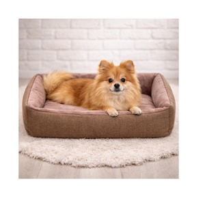 Cama para perros de razas pequeñas: cómoda y lavable cama para mascotas con laterales elevados.