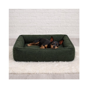 Puede incluir: Una cama rectangular verde oscuro para perros con un perro pequeño negro y marrón dentro. La cama está sobre una alfombra blanca y esponjosa, con una pared de ladrillos blancos al fondo.